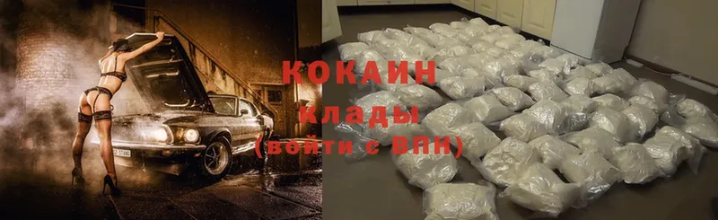 Cocaine FishScale  Высоковск 